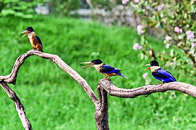 GamesRadar未来游戏展将于6月11日举行